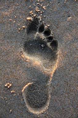 Barefoot mark on sand clipart