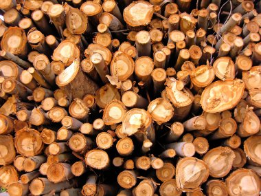 yığılmış kereste