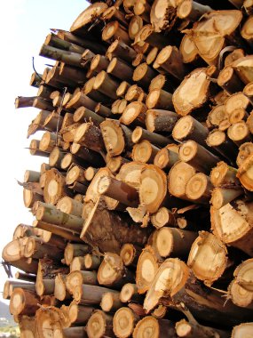 yığılmış kereste