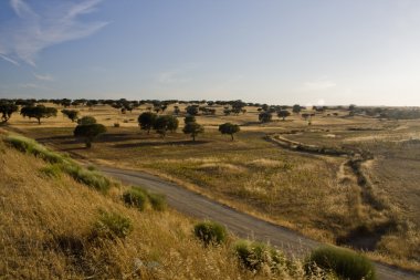 Alentejo Landscape clipart