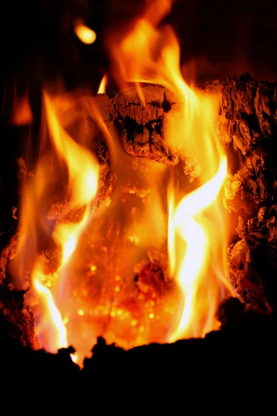 Wood fire cracking — Stock Photo, Image