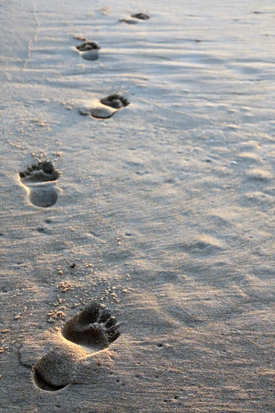 Verdeelde barefoot tracks — Stockfoto
