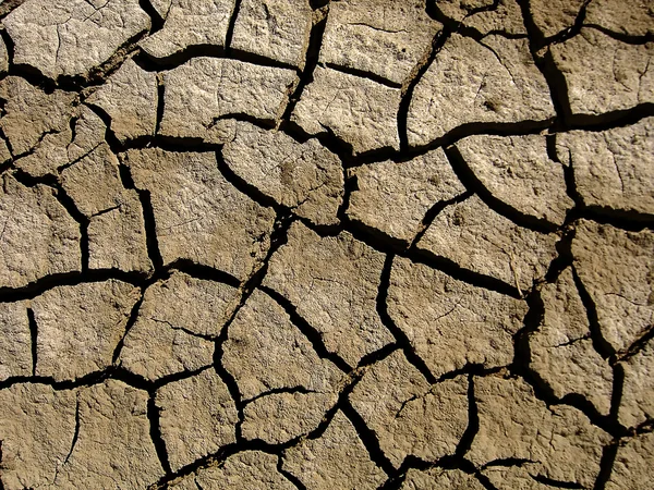 乾燥地形 — ストック写真