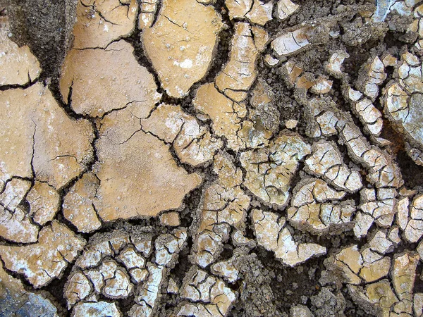 泥の亀裂 — ストック写真
