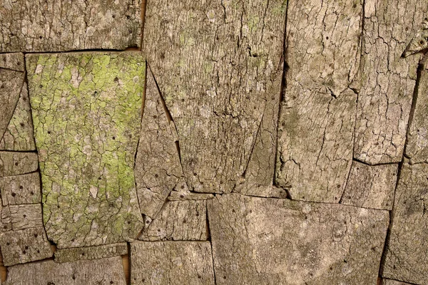 Woode patroon textuur — Stockfoto
