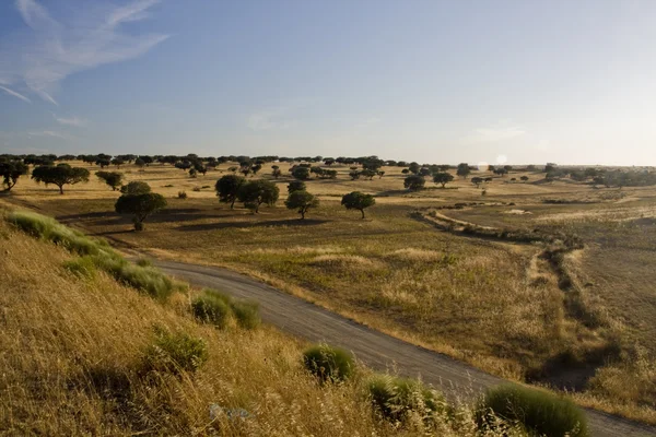 Stock image Alentejo Landscape