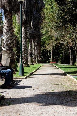 bacakları ve bilgisayarda bir park