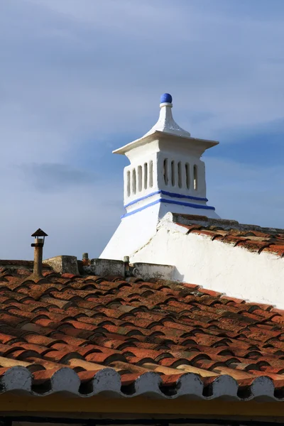 Типовий португальський дах зверху — стокове фото