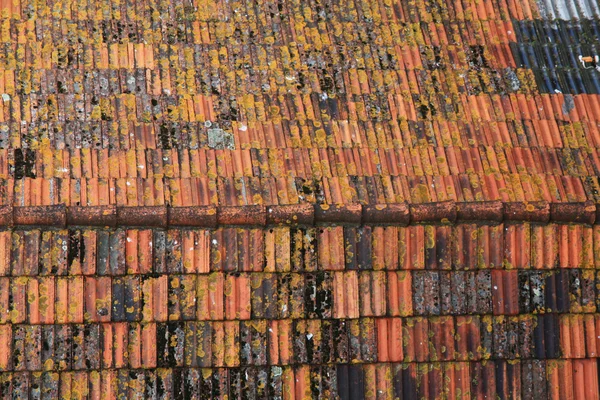 Červené střechy — Stock fotografie