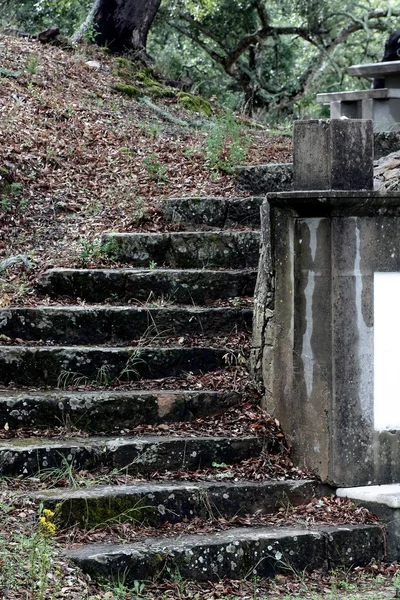 오래 된 계단 — 스톡 사진
