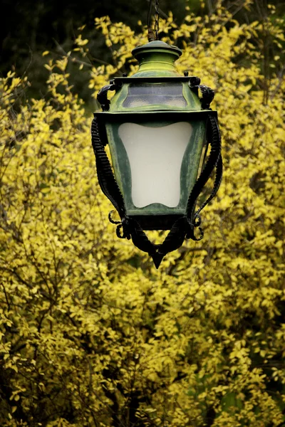 Streetlamp och träd — Stockfoto