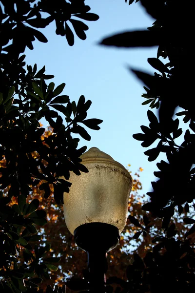 Streetlamp surrounded — Stock Photo, Image