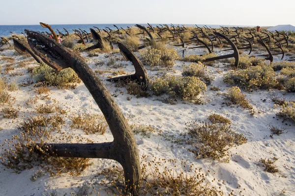 stock image Anchor cemitery