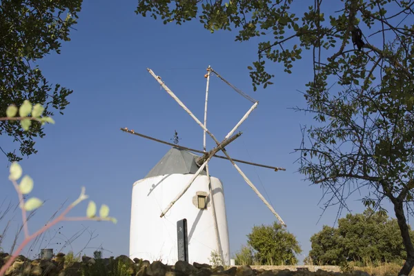 Windmühle auf dem Hügel — Stockfoto