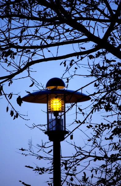 Public park light — Stock Photo, Image