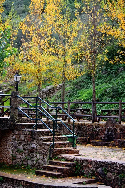 stock image Stairs on a park