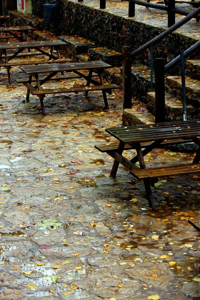 Táblázatok a fallen levelek — Stock Fotó