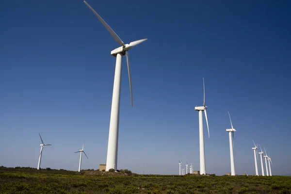 巨大な風車 — ストック写真
