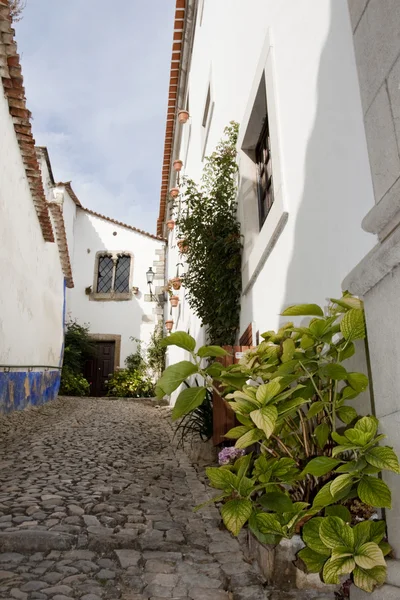 Typical street of obidos — Stock Photo, Image