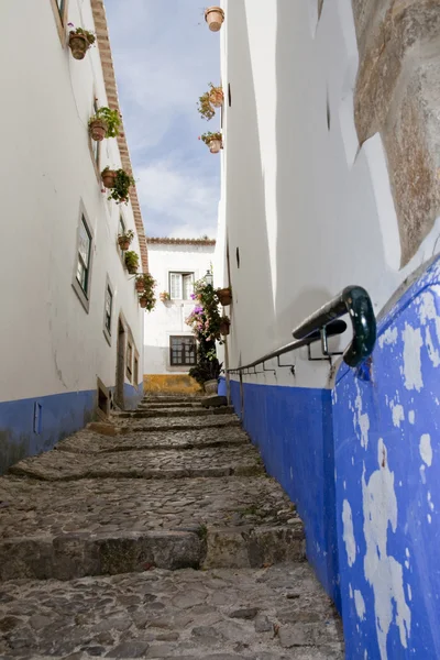 Obidos tipik sokak — Stok fotoğraf