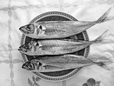 Black and white mackerel clipart