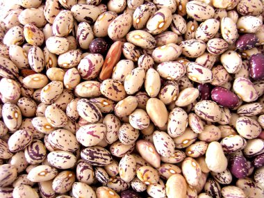 Dried Mottled Beans clipart