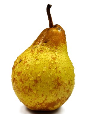 Pyrus communis (Common Pear) clipart