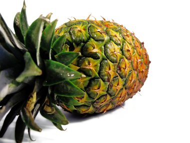 Yatay ananas