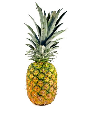 tek ananas