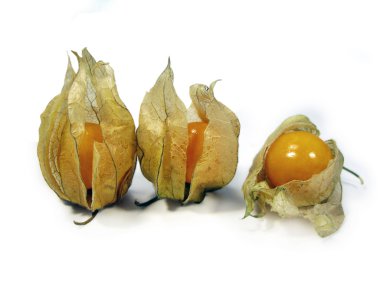 Three physalis clipart