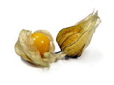 Physalis meyve