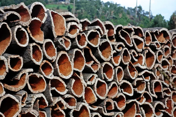 Bark harvested — Stock Photo, Image