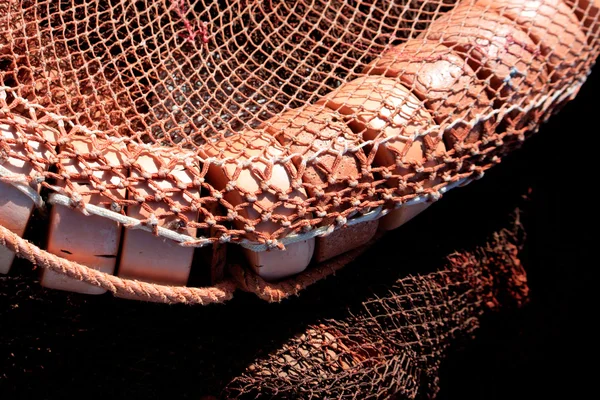 Floaters ve Balık ağı — Stok fotoğraf