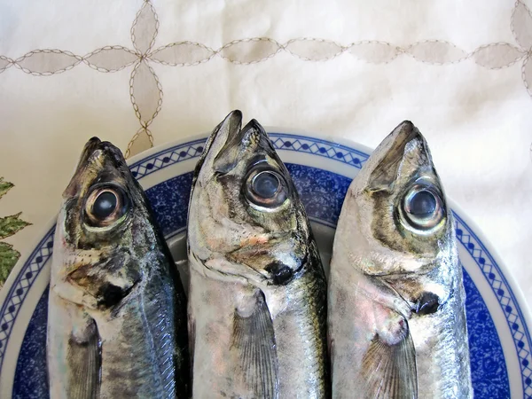 Três peixes de sarda — Fotografia de Stock