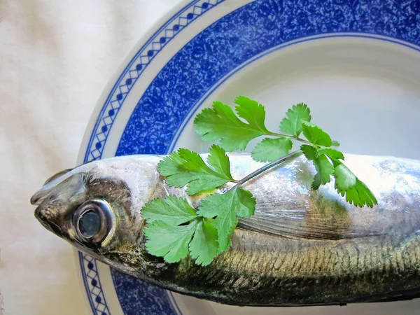 Makrela ryby na talerzu — Zdjęcie stockowe