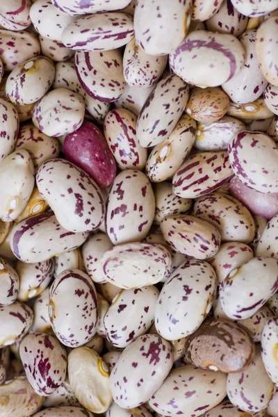 Raw beans — Stock Photo, Image
