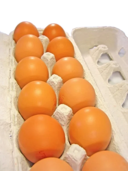 Dutzende Eier — Stockfoto