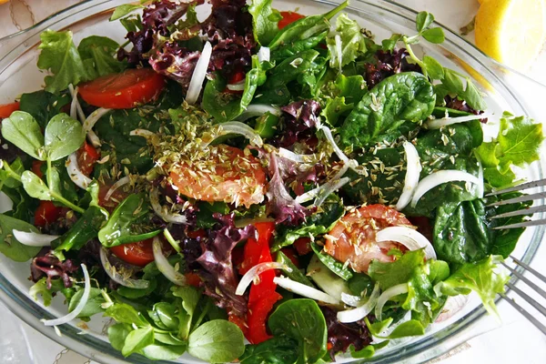 Salad of Portugal — Stock Photo, Image