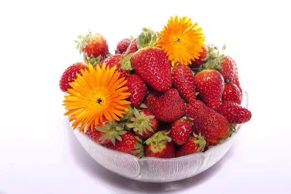Cuenco de fresas — Foto de Stock