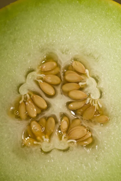 Semillas de melón — Foto de Stock