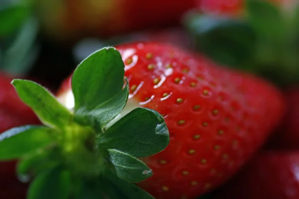 Erdbeerrot — Stockfoto