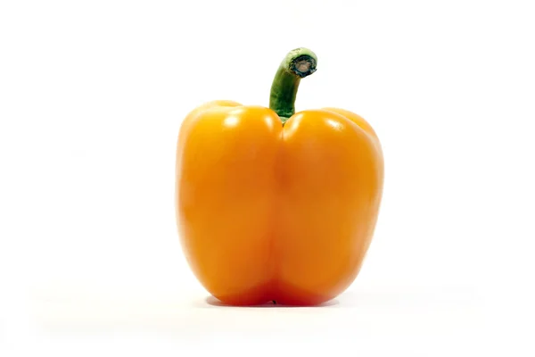 1 오렌지 피망 — 스톡 사진