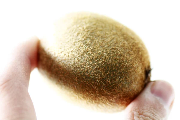 Kiwi buah pada jari — Stok Foto