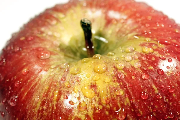 Gotas vermelhas na maçã — Fotografia de Stock