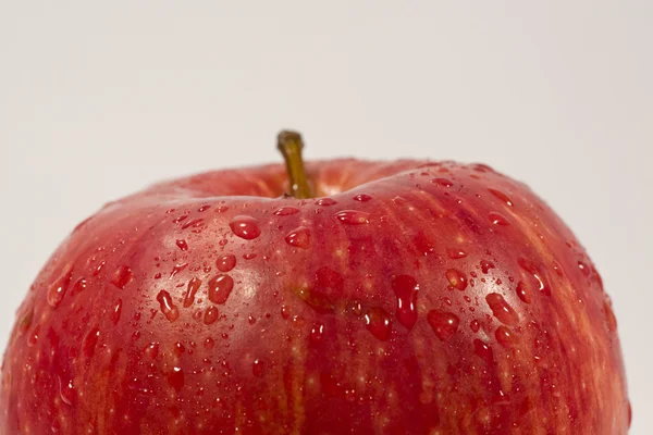 Κόκκινο gala μήλο — Φωτογραφία Αρχείου