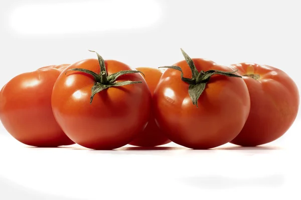 Tomates rouges — Photo