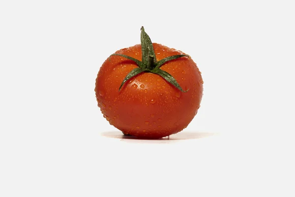 Tomate rouge — Photo