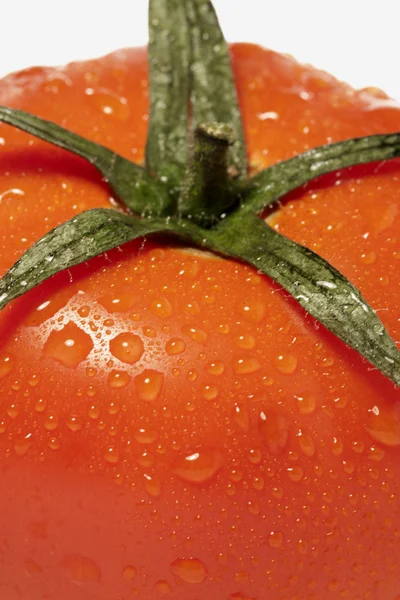 红 tomatoe — 图库照片