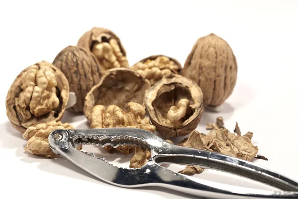 Stock image Bunch of walnuts