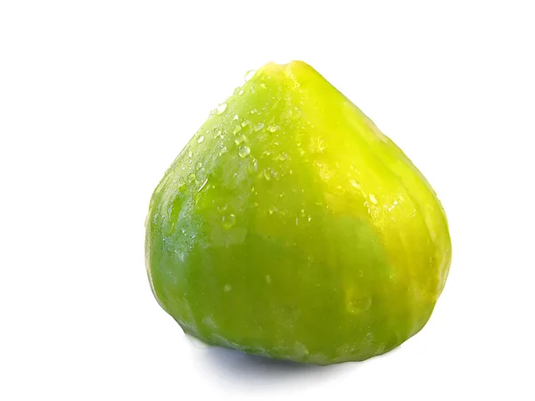 Figo verde — Fotografia de Stock